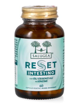 Reset Intestino